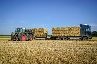 Foto: Traktor auf Feld